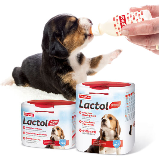 Beaphar Lactol Leche en Polvo para cachorros image number null